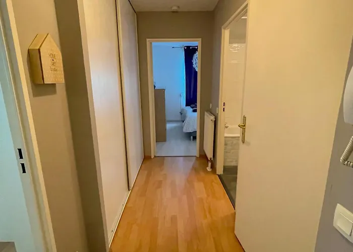 Neudorf + Garage 斯特拉斯堡